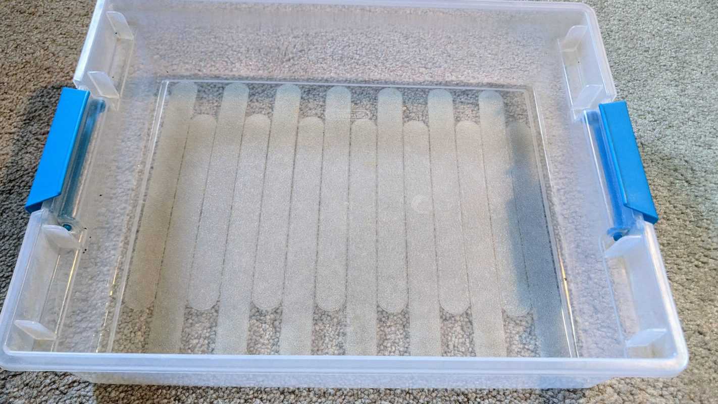 Bathing Your Bearded Dragon A Complete Guide With Pictures Beardie