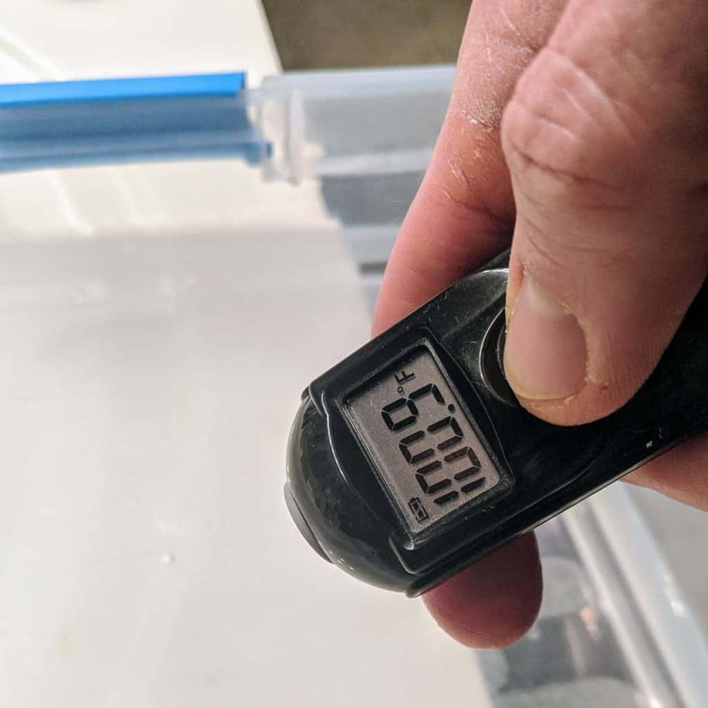 Bathing Your Bearded Dragon A Complete Guide With Pictures Beardie Bungalow