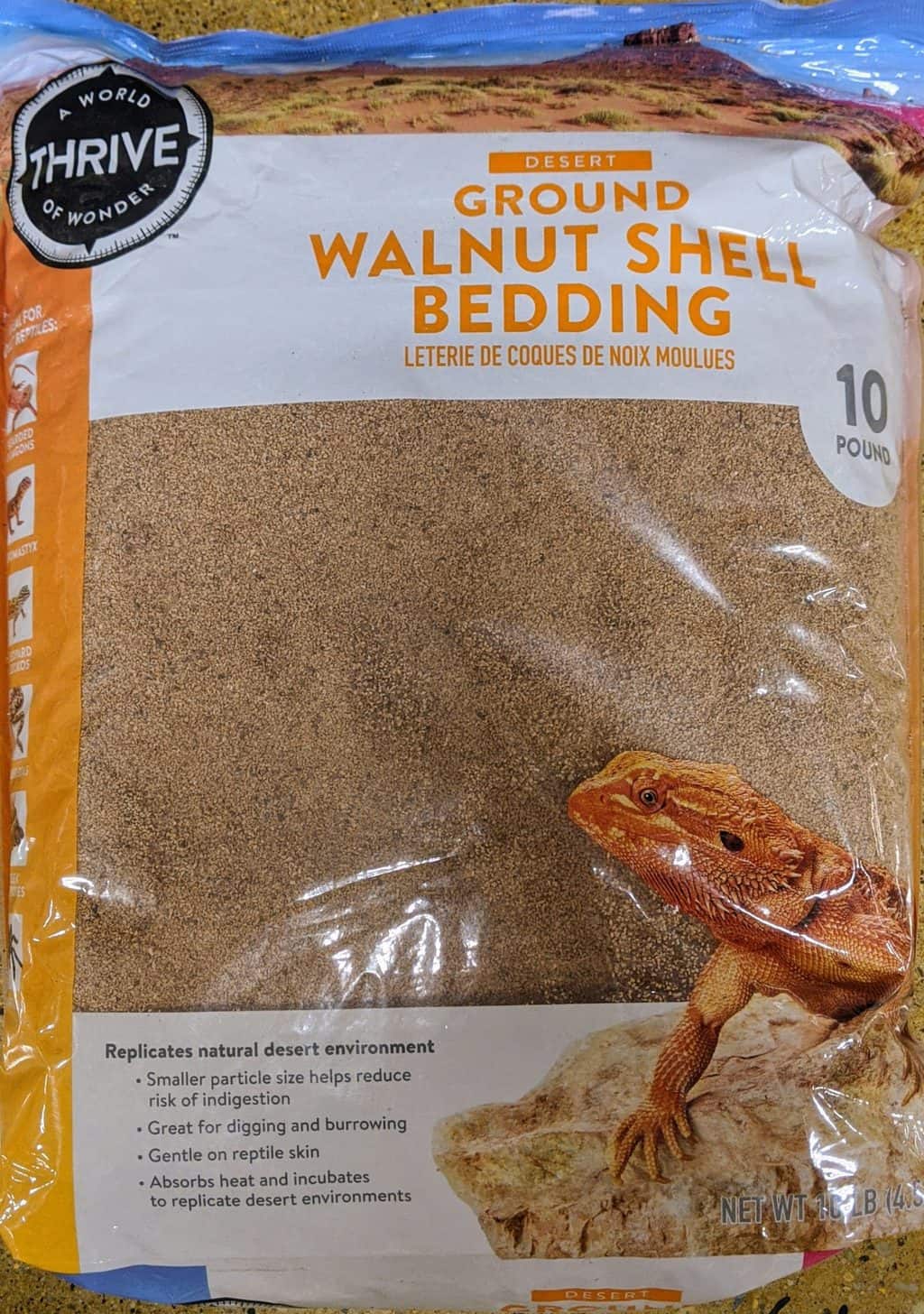 Bearded Dragon substrate. A factbased guide to the best and worst