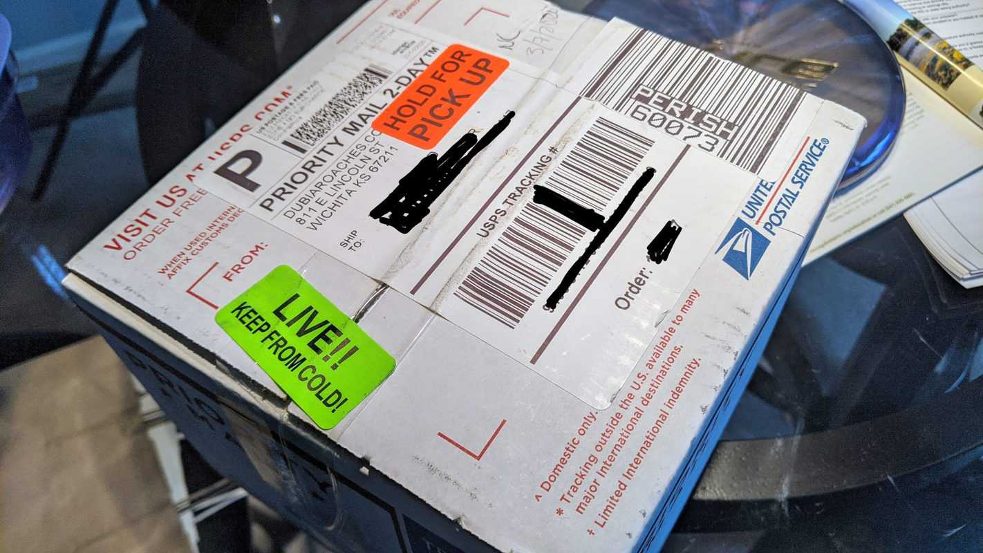 Crickets vs. Dubia Roaches Finding the Best Feeder Insect For Your