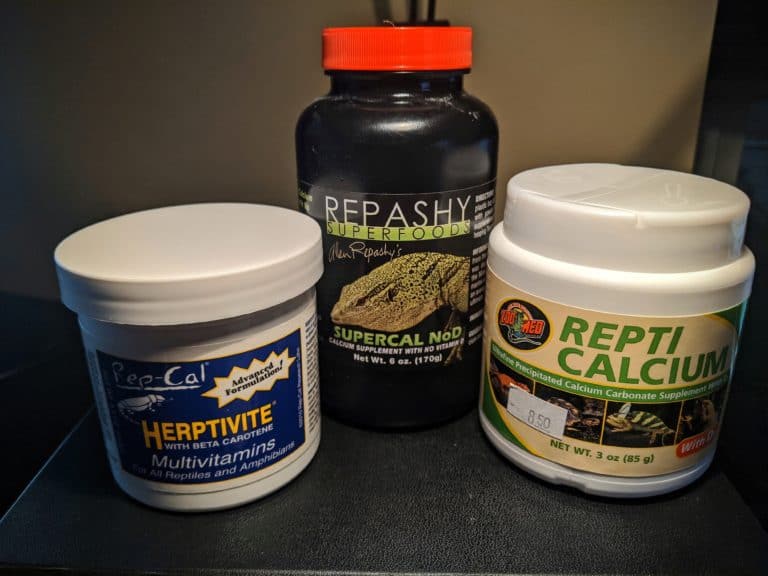 Curated visual reference: Supplements For Your Bearded Dragon A Helpful Guide Photo Inspiration