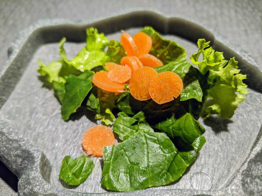 The only bearded dragon feeding guide that you’ll ever need - Beardie