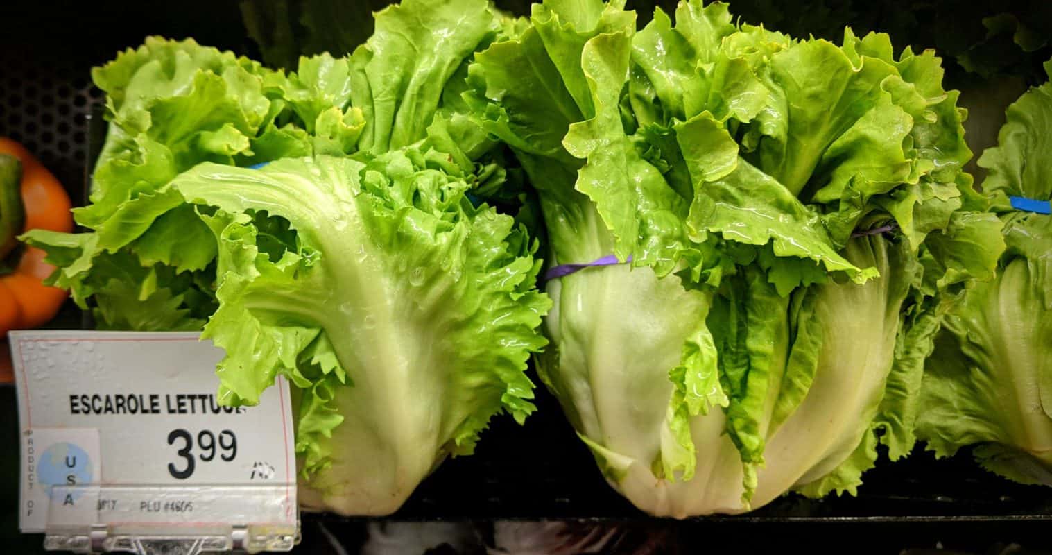 Can Bearded Dragons Eat Lettuce? The Answer You Need.