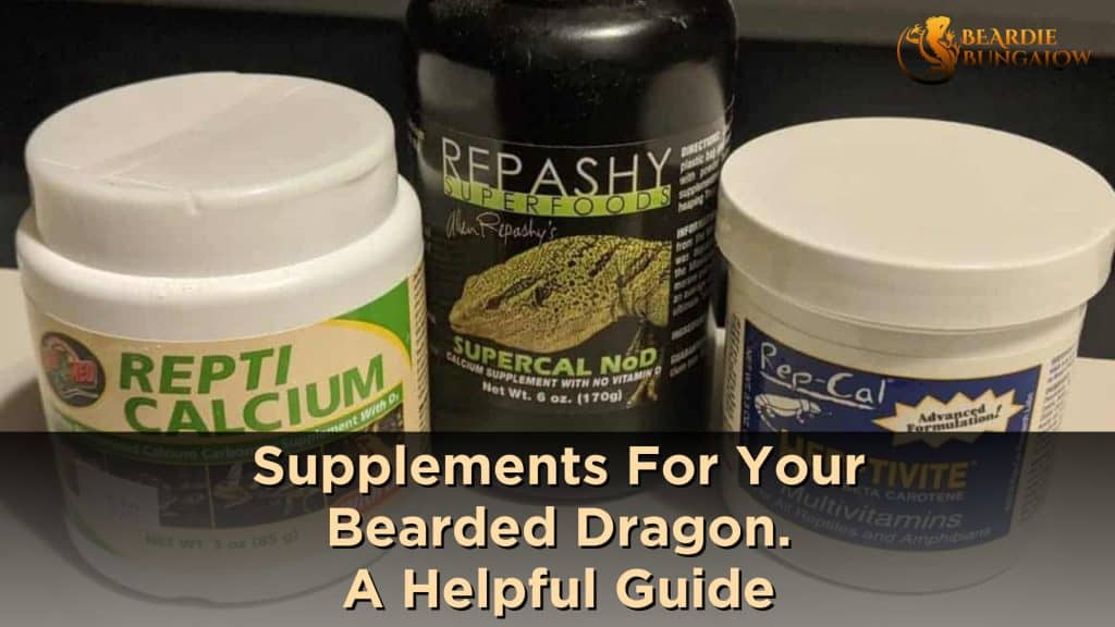 Photo inspiration: Picture Idea: Supplements For Your Bearded Dragon A Helpful Guide